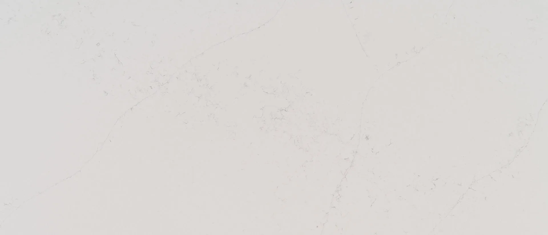 Closeup image of Q Quartz Calacatta Botanica Quartz countertop slab