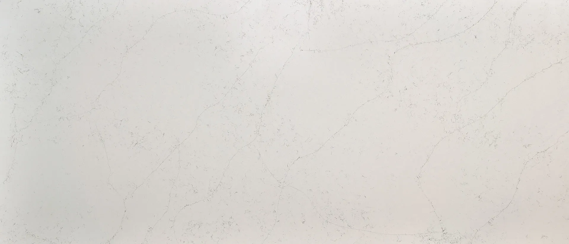 Image of Q Quartz Calacatta Botanica Quartz countertop slab