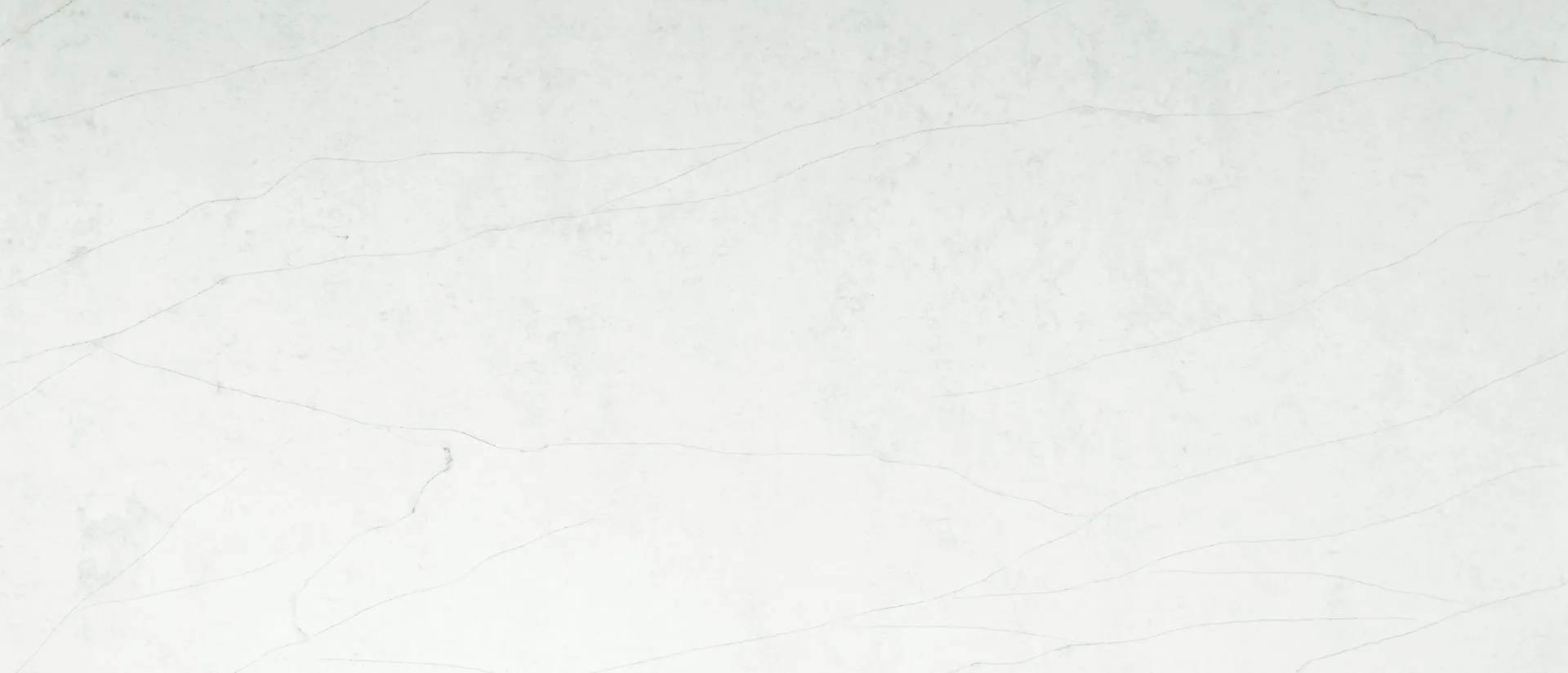 Image of Q Quartz Calacatta Clara Quartz countertop slab