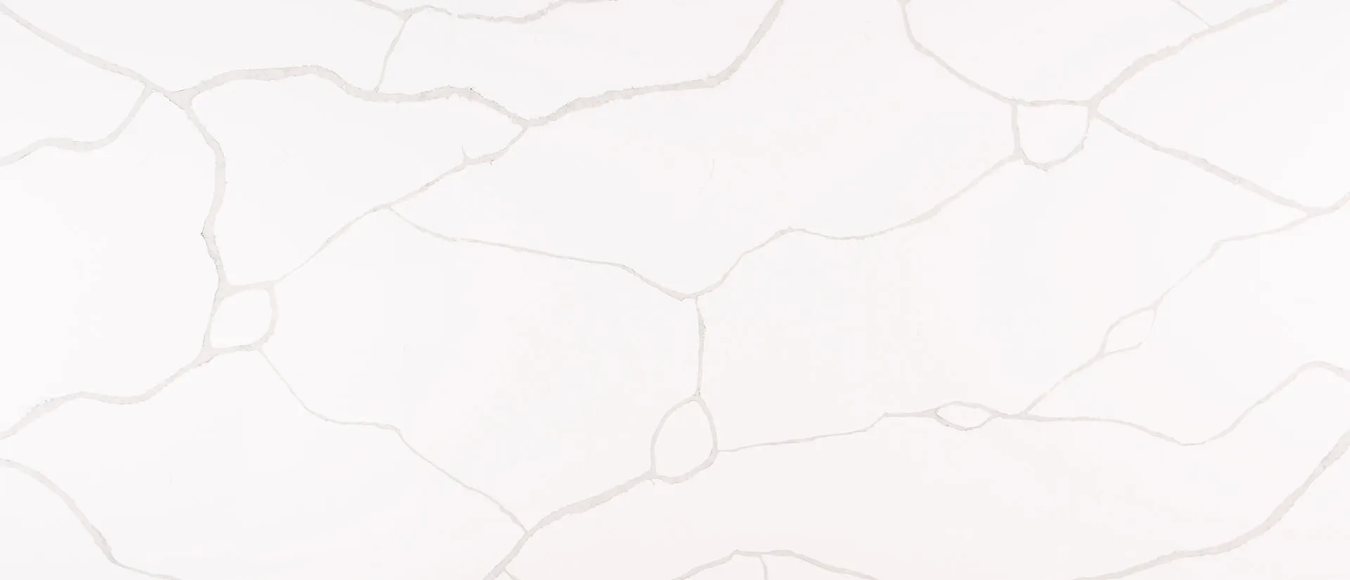Image of Q Quartz Calacatta Classique Quartz countertop slab