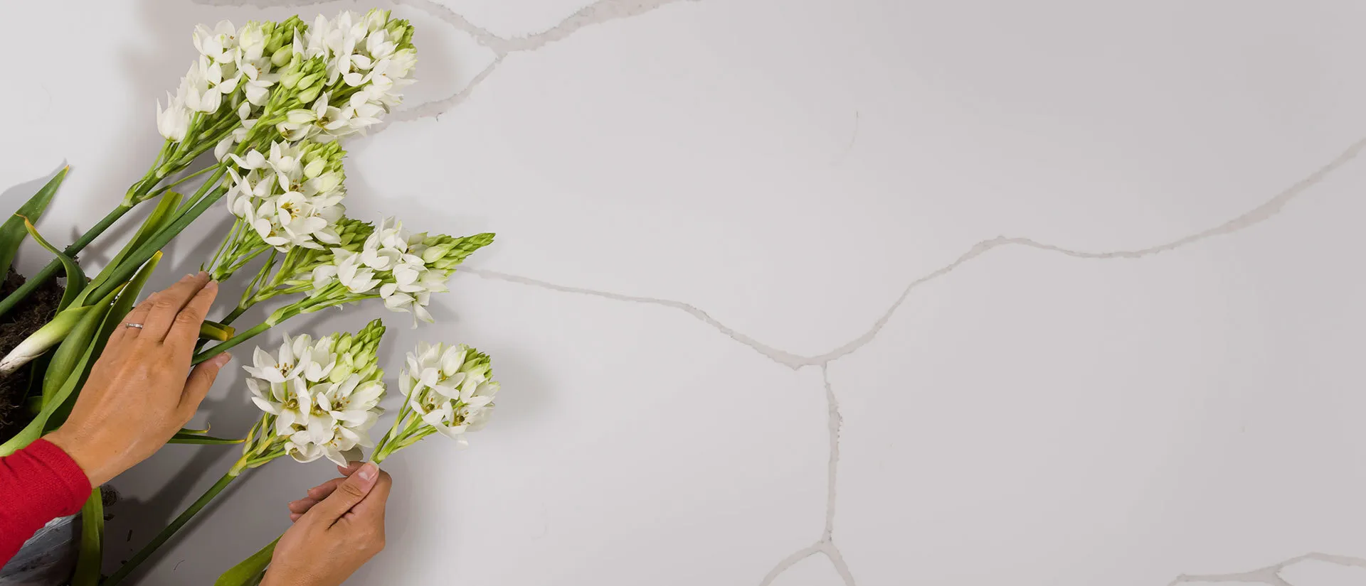 Image of installed Q Quartz Calacatta Classique Quartz countertops