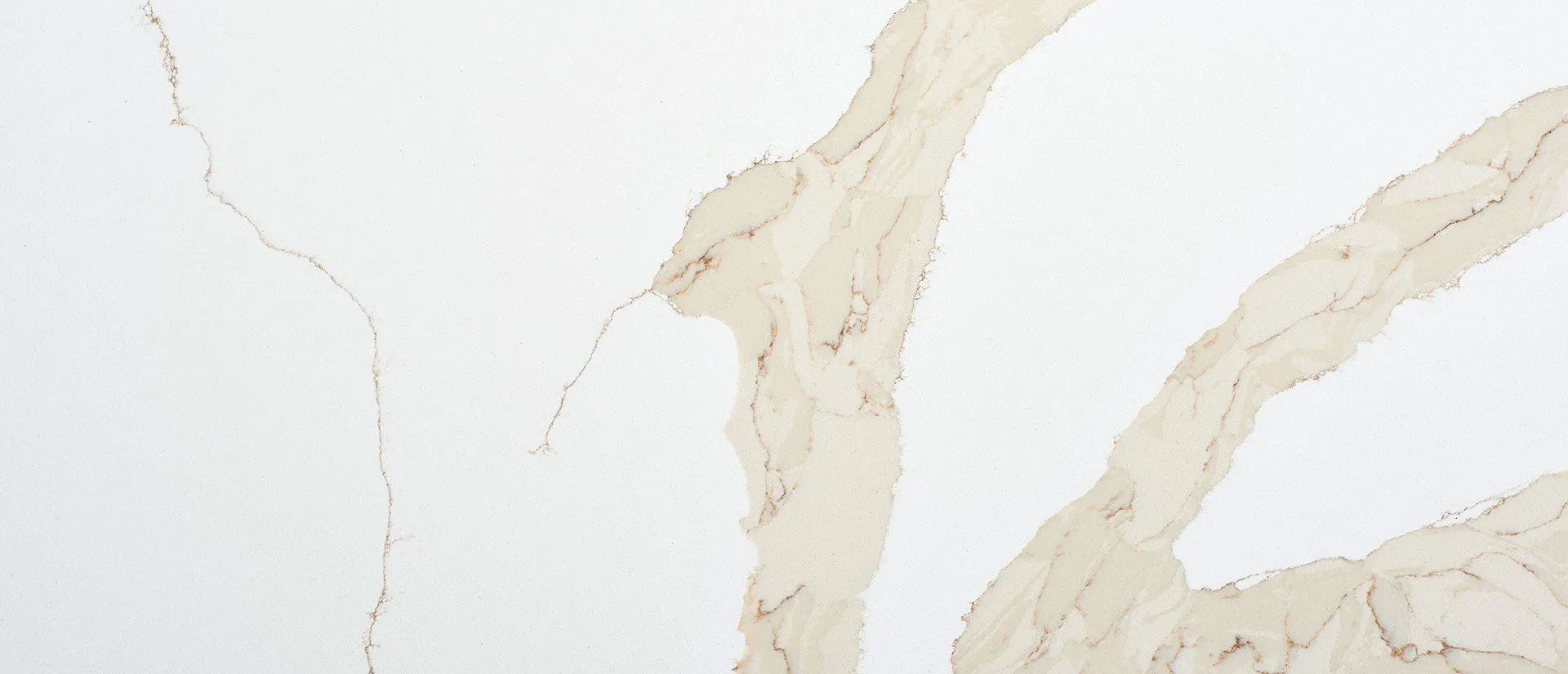 Closeup image of Q Quartz Calacatta Leon Gold Quartz countertop slab