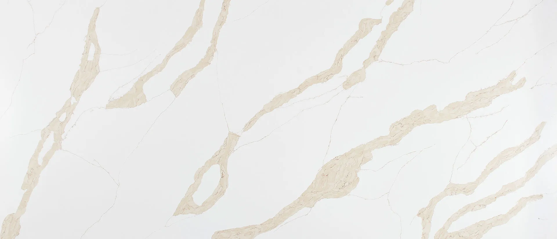Image of Q Quartz Calacatta Leon Gold Quartz countertop slab