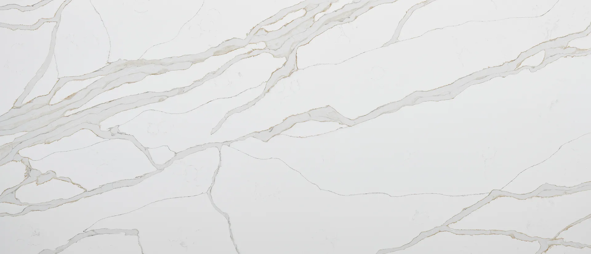 Image of Q Quartz Calacatta Solessio Quartz countertop slab