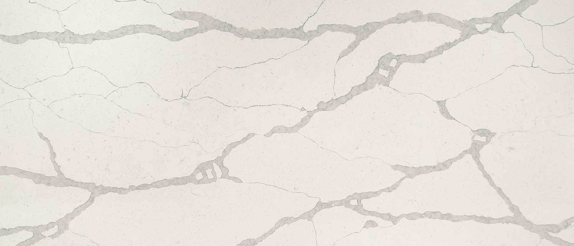 Image of Q Quartz Calacatta Trento White Quartz countertop slab