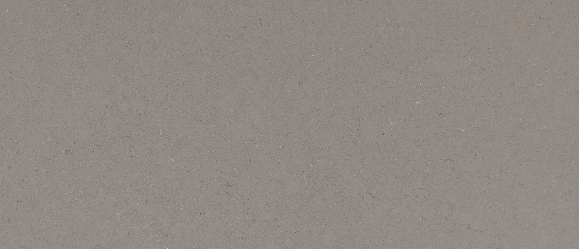 Closeup image of Q Quartz Fossil Gray Quartz countertop slab