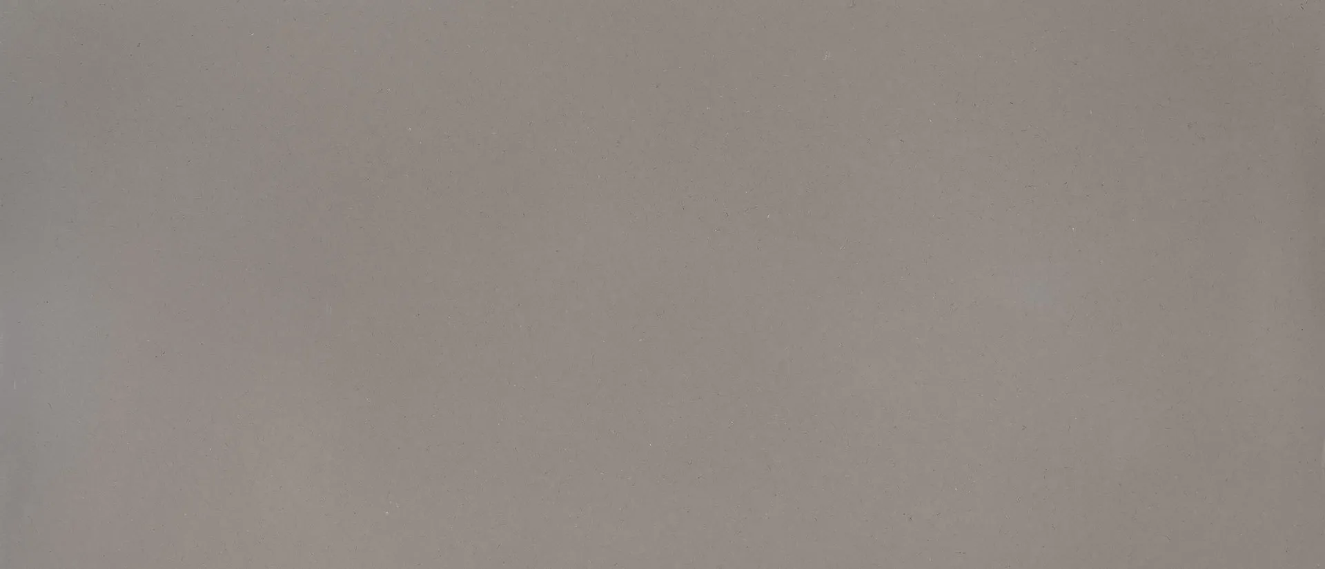 Image of Q Quartz Fossil Gray Quartz countertop slab