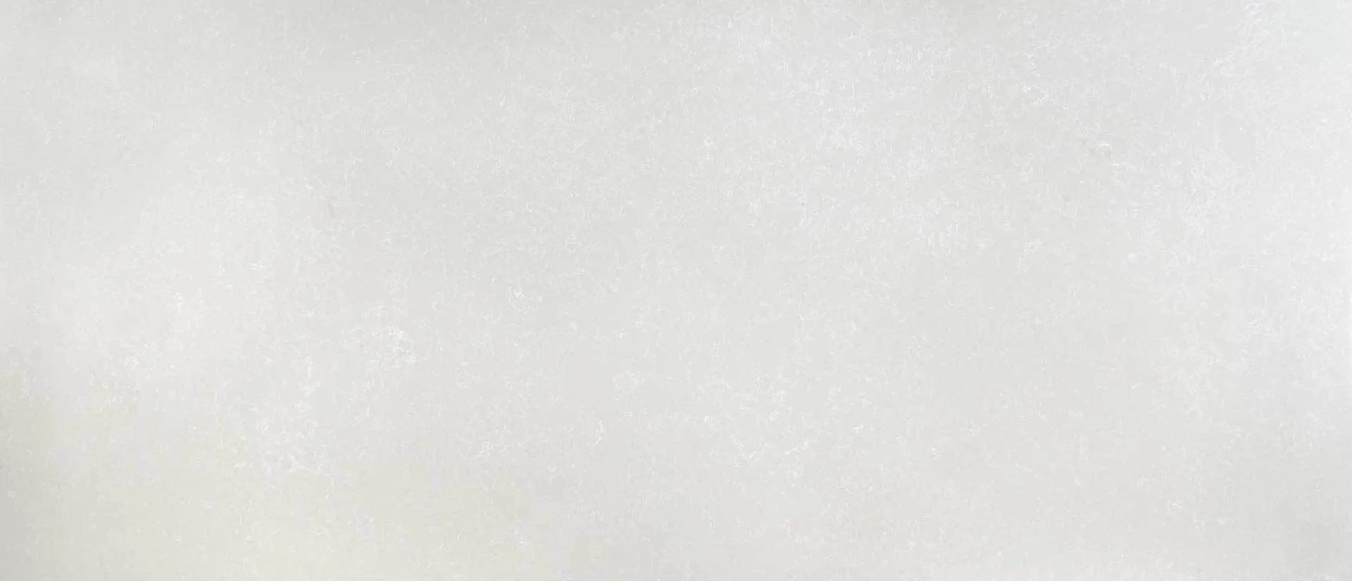 Image of Q Quartz Shell White Quartz countertop slab