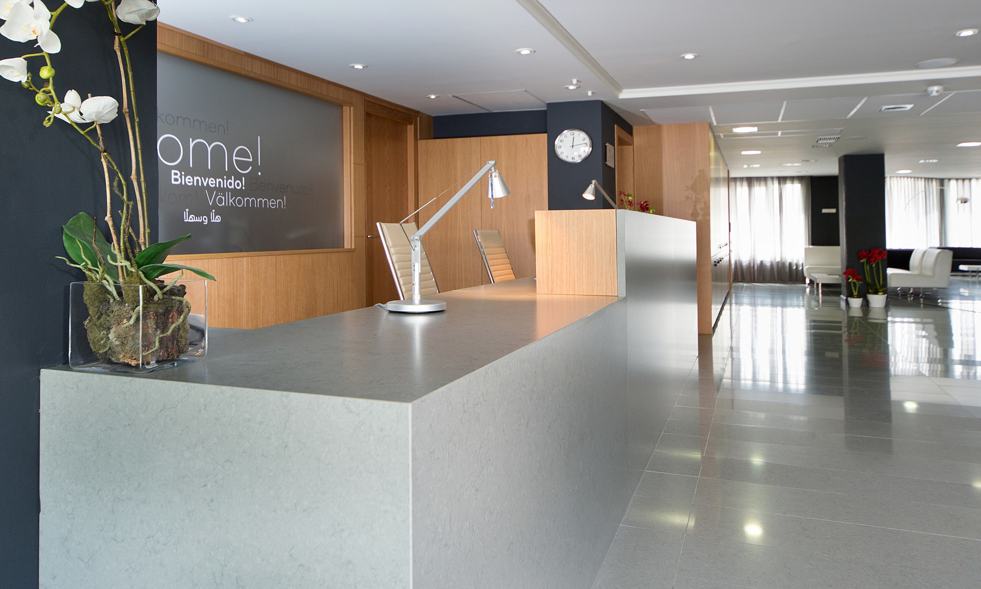 Image of installed Silestone Cygnus Quartz countertops