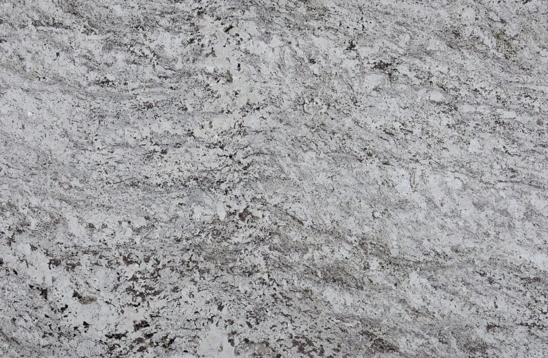 Image of Alaska White Grey Granite countertop slab