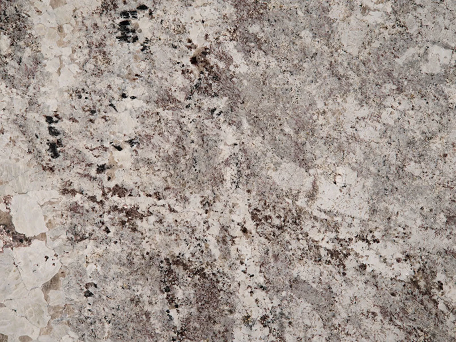 Closeup image of Alaska White Grey Granite countertop slab