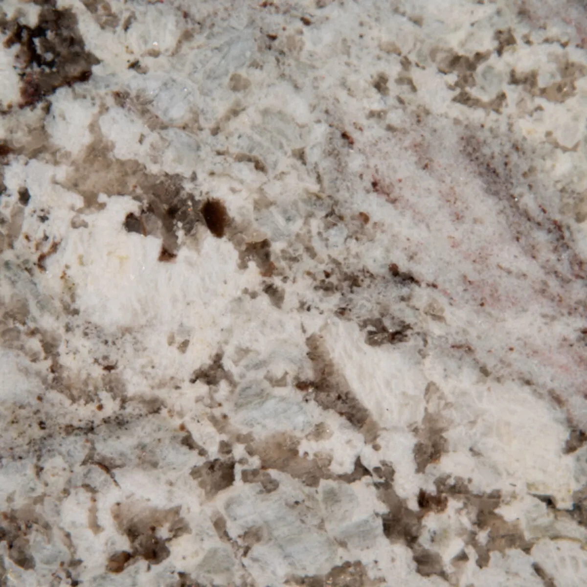 Closeup image of Andino White Grey Granite countertop slab