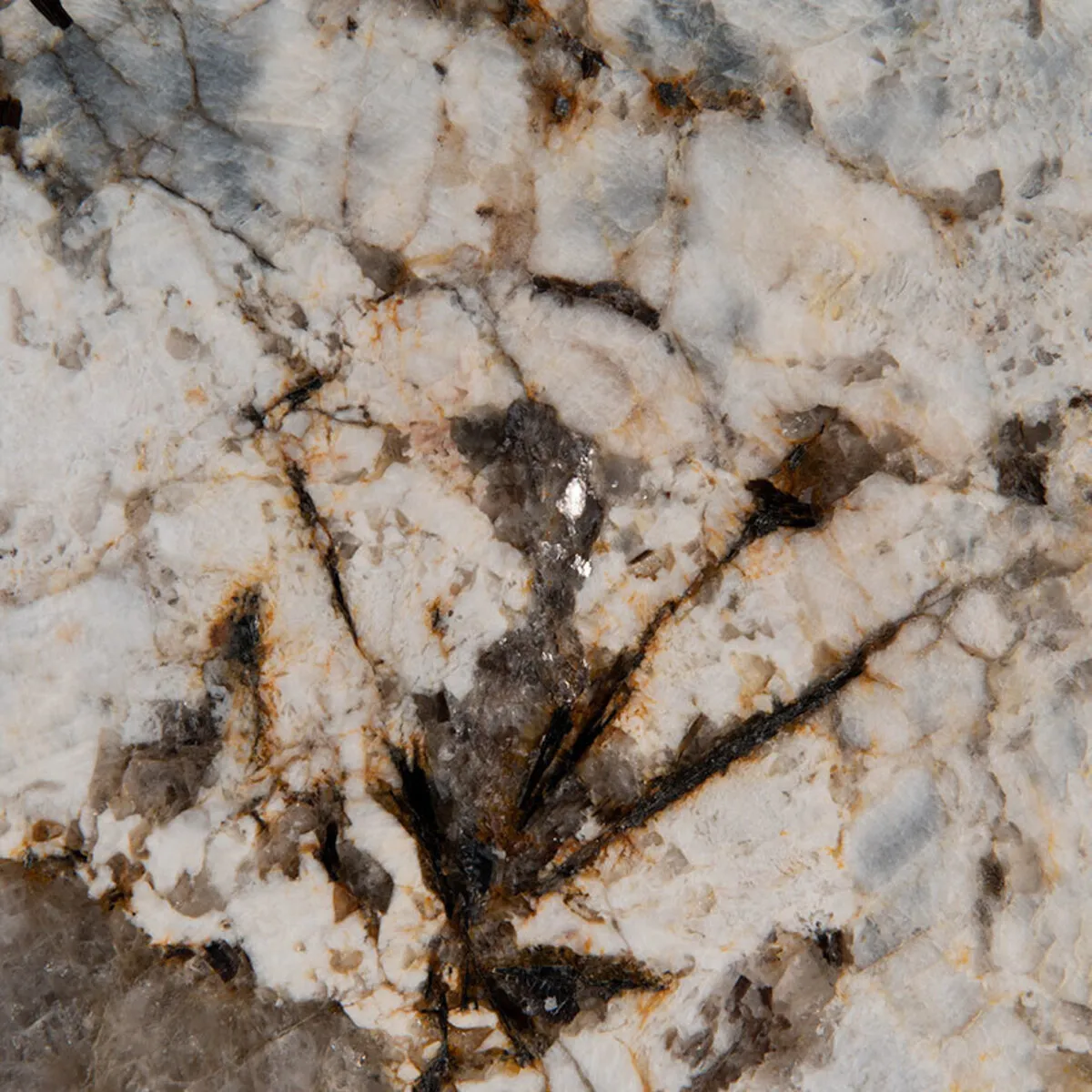 Closeup image of Antico Silver Cream Granite countertop slab