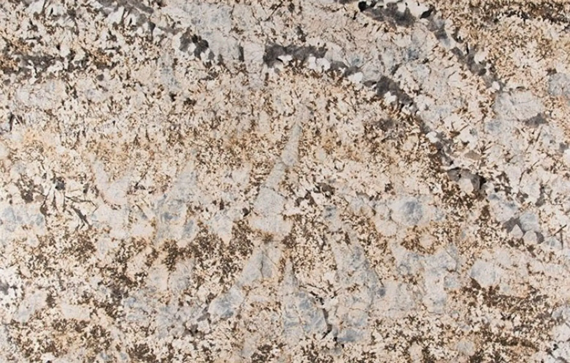 Image of Antico Silver Cream Granite countertop slab
