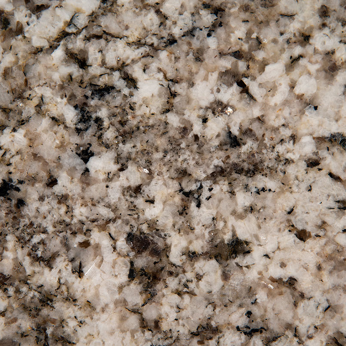 Closeup image of Arctic Sand Grey Granite countertop slab