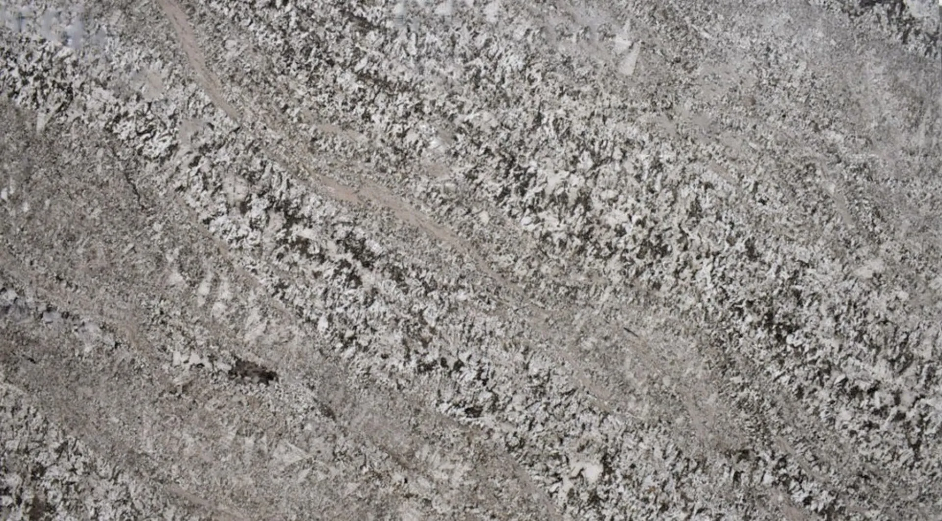 Image of Bianco Antico Grey Granite countertop slab