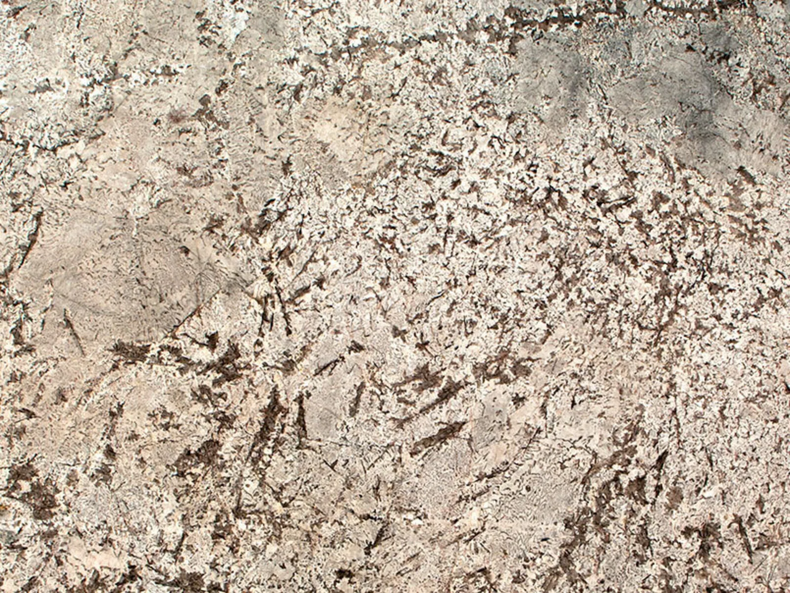 Closeup image of Bianco Antico Grey Granite countertop slab