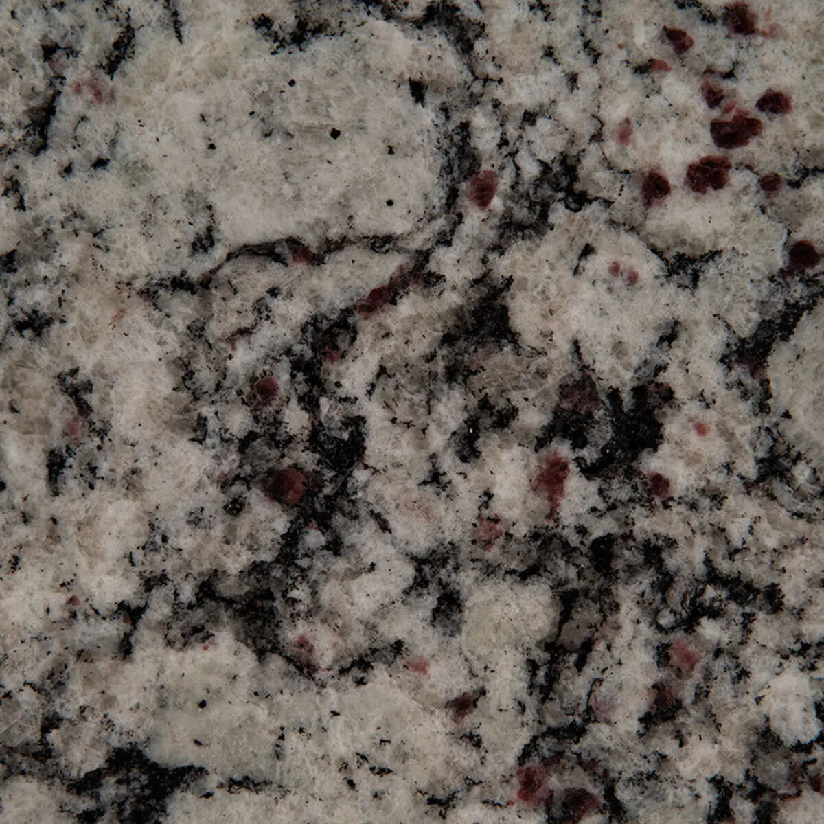 Closeup image of Bianco Frost Granite countertop slab