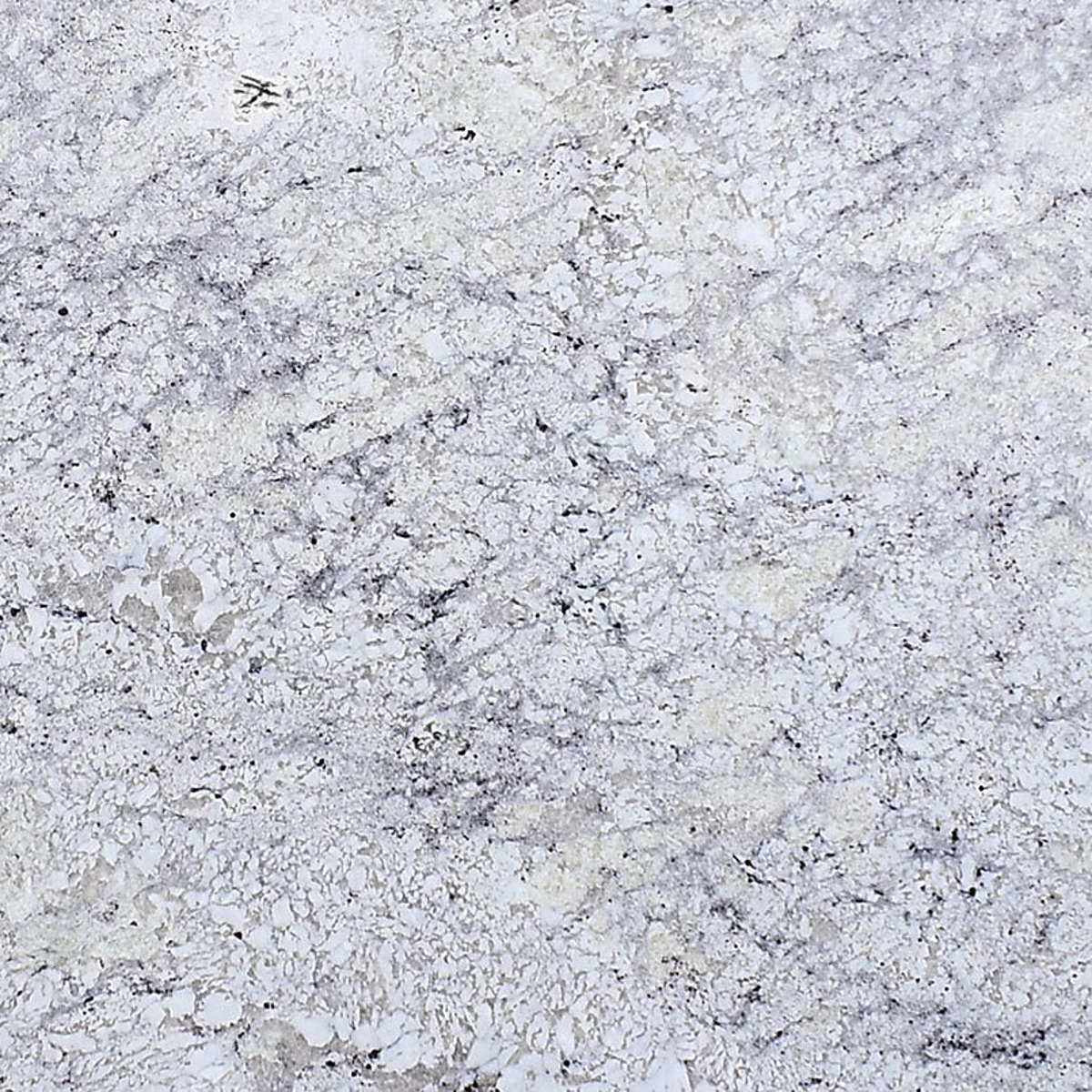 Closeup image of Bianco Romano Grey Granite countertop slab