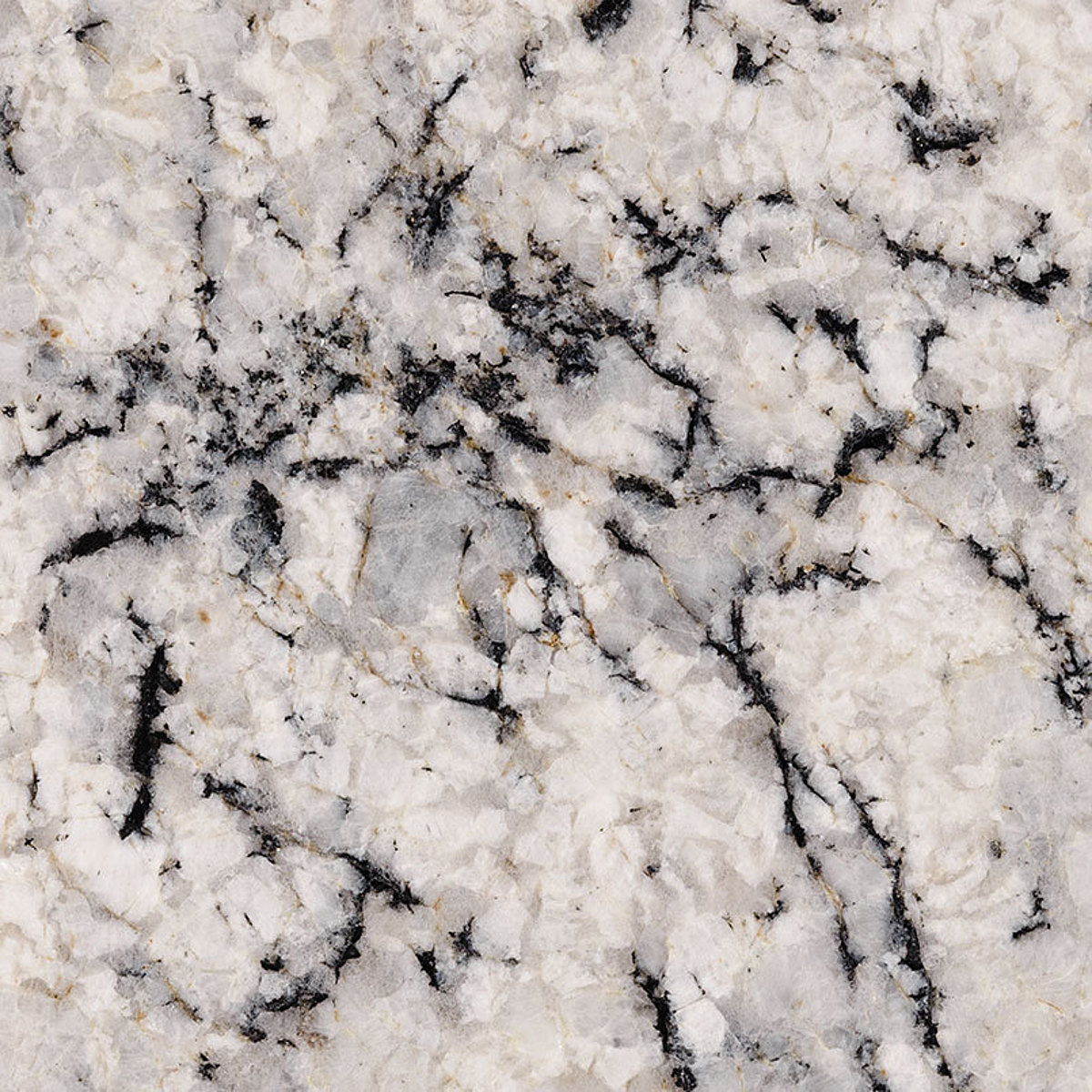 Closeup image of Blizzard Grey Granite countertop slab