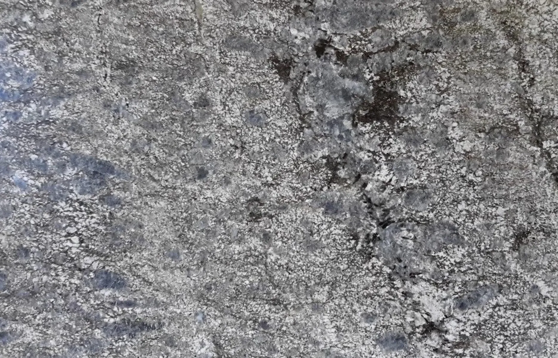 Image of Blue Flower Grey Granite countertop slab
