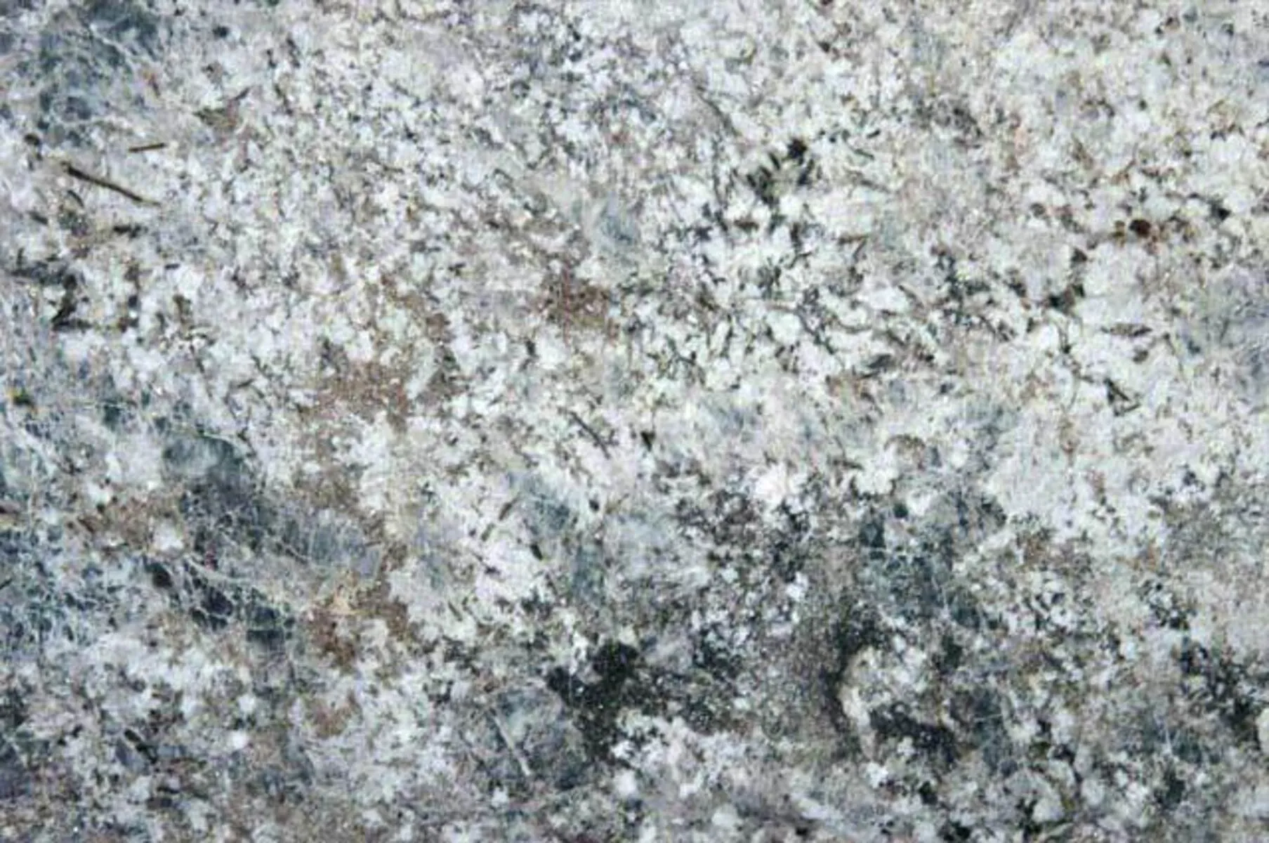 Closeup image of Blue Flower Grey Granite countertop slab