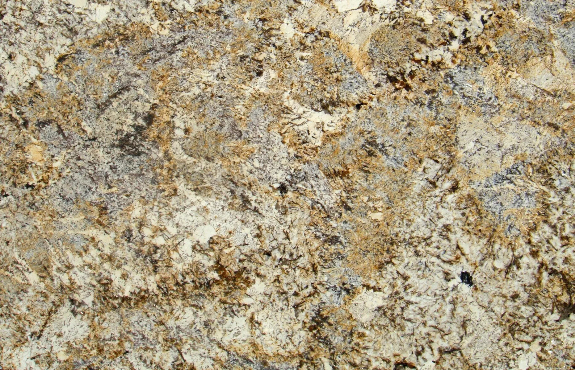Image of Caravelas Gold Brown Granite countertop slab
