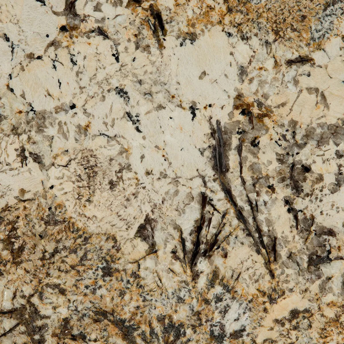 Closeup image of Caravelas Gold Brown Granite countertop slab