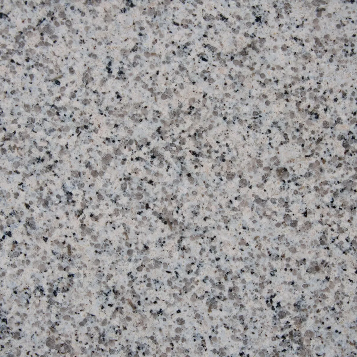 Closeup image of Ceara White Grey Granite countertop slab