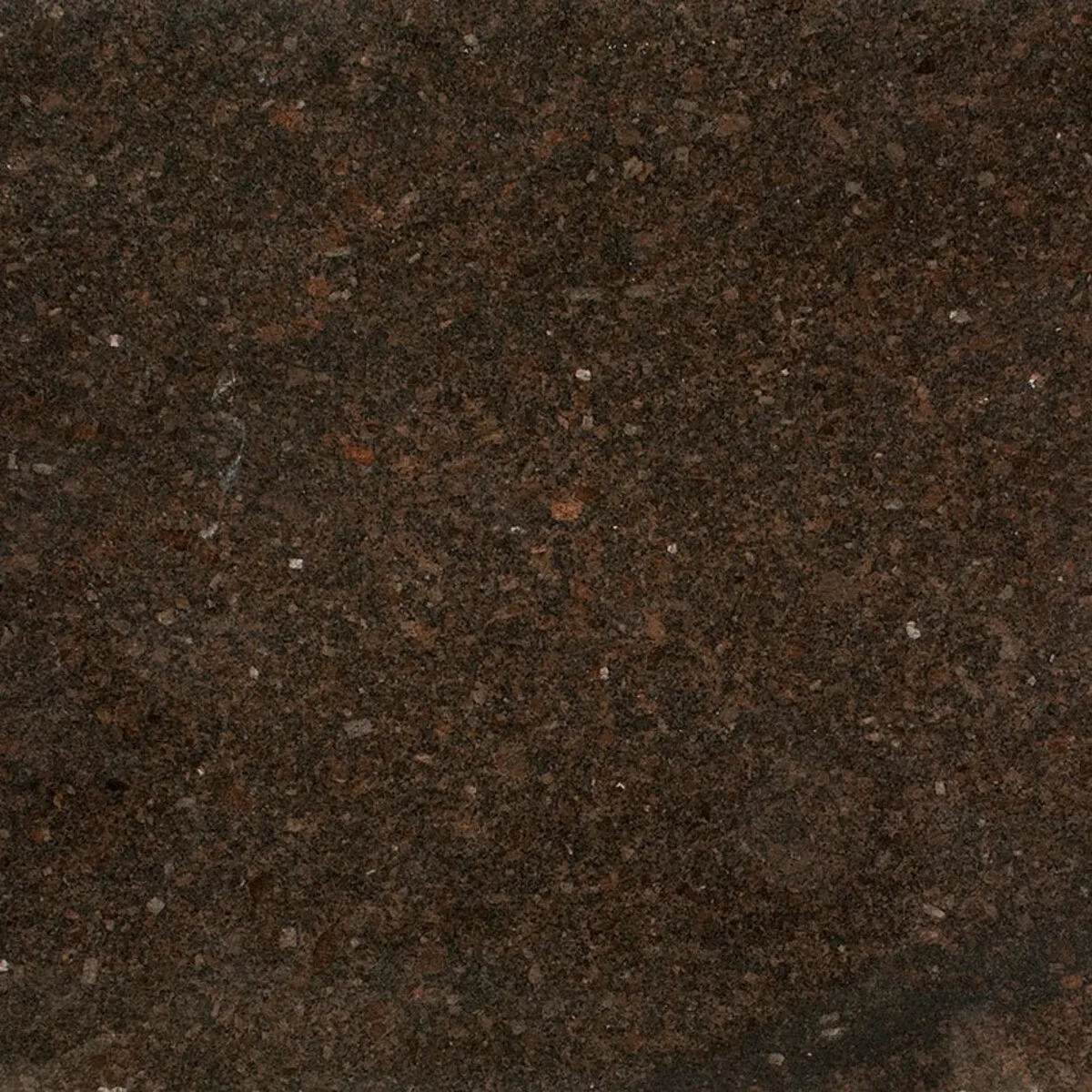 Closeup image of Coffee Brown Granite countertop slab