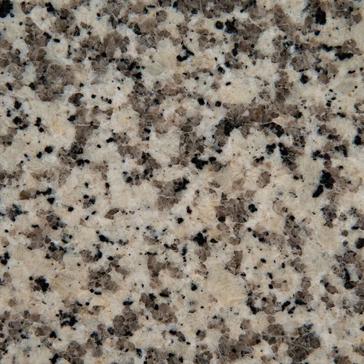 Closeup image of Crema Atlantico Grey Granite countertop slab