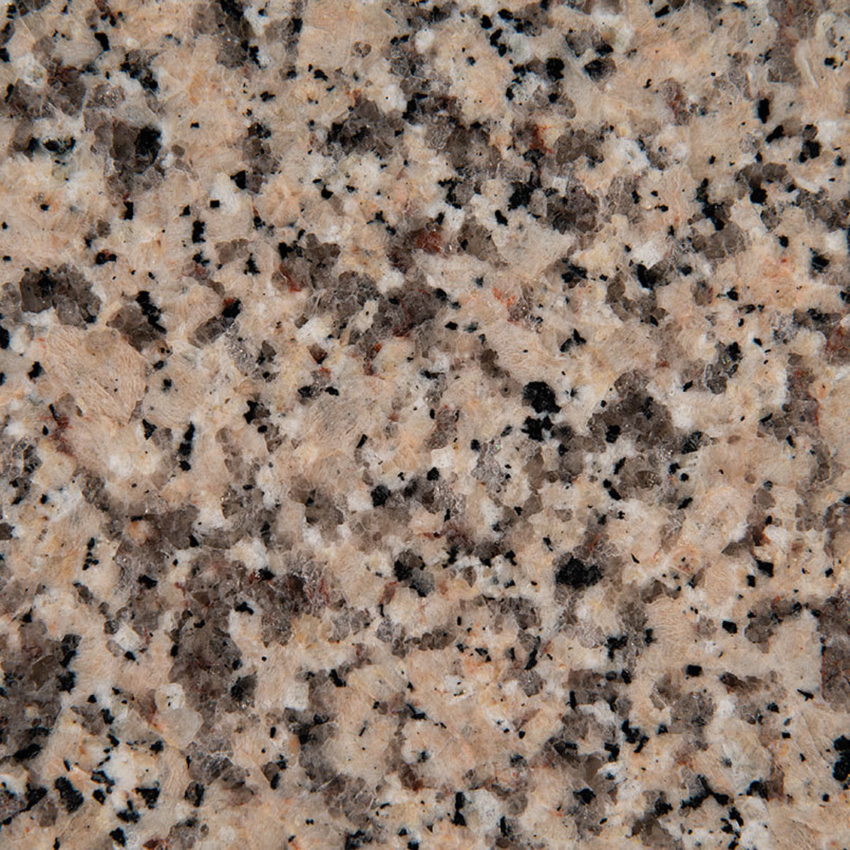 Closeup image of Crema Caramel Brown Granite countertop slab