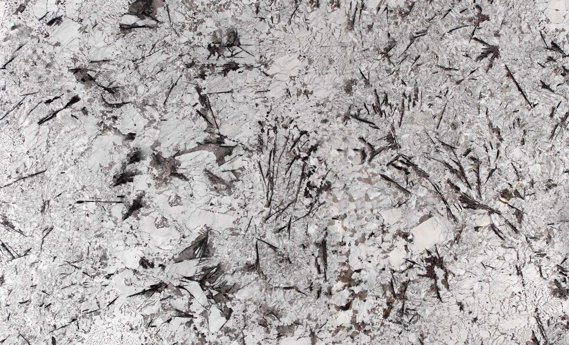 Image of Delicatus White Grey Granite countertop slab