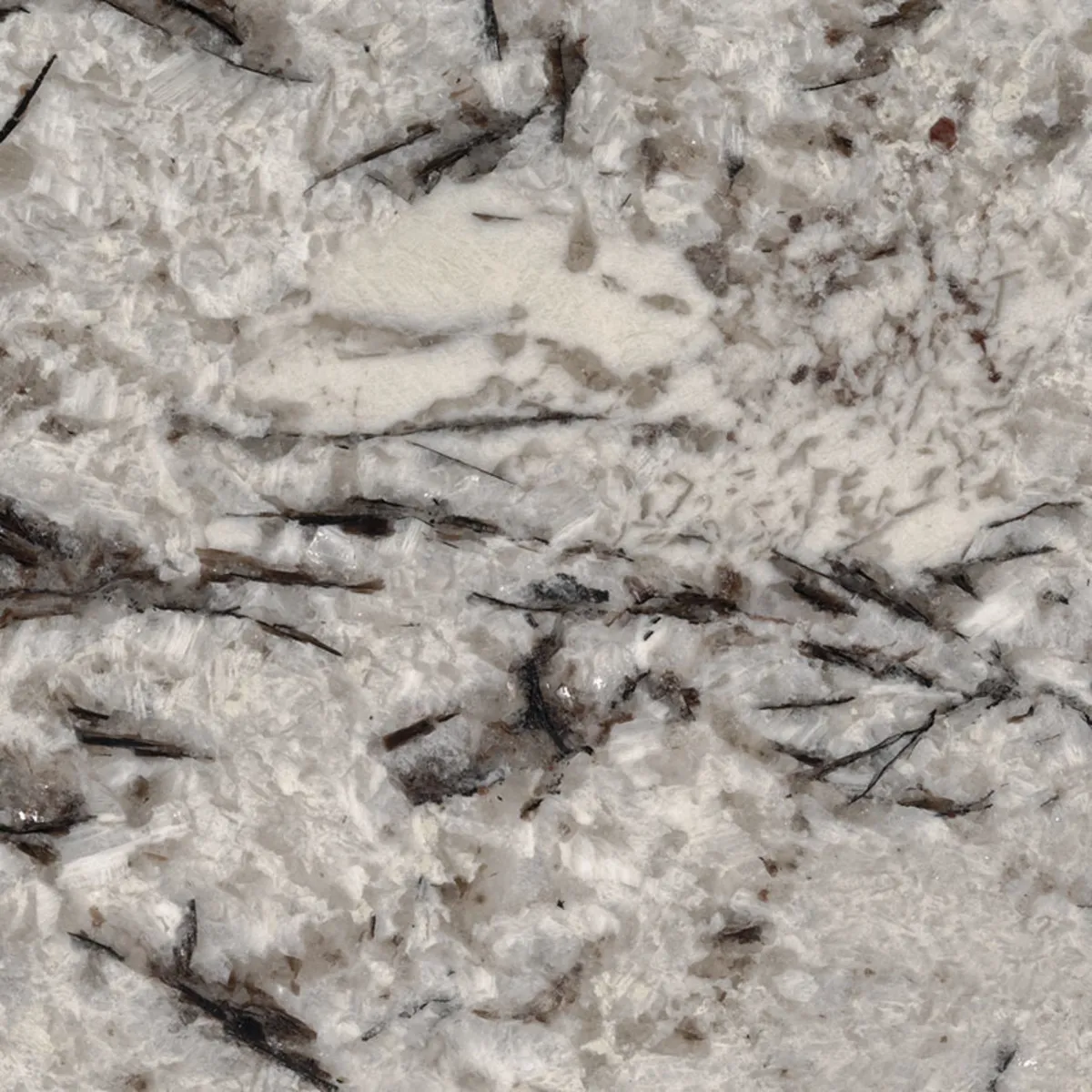 Closeup image of Delicatus White Grey Granite countertop slab