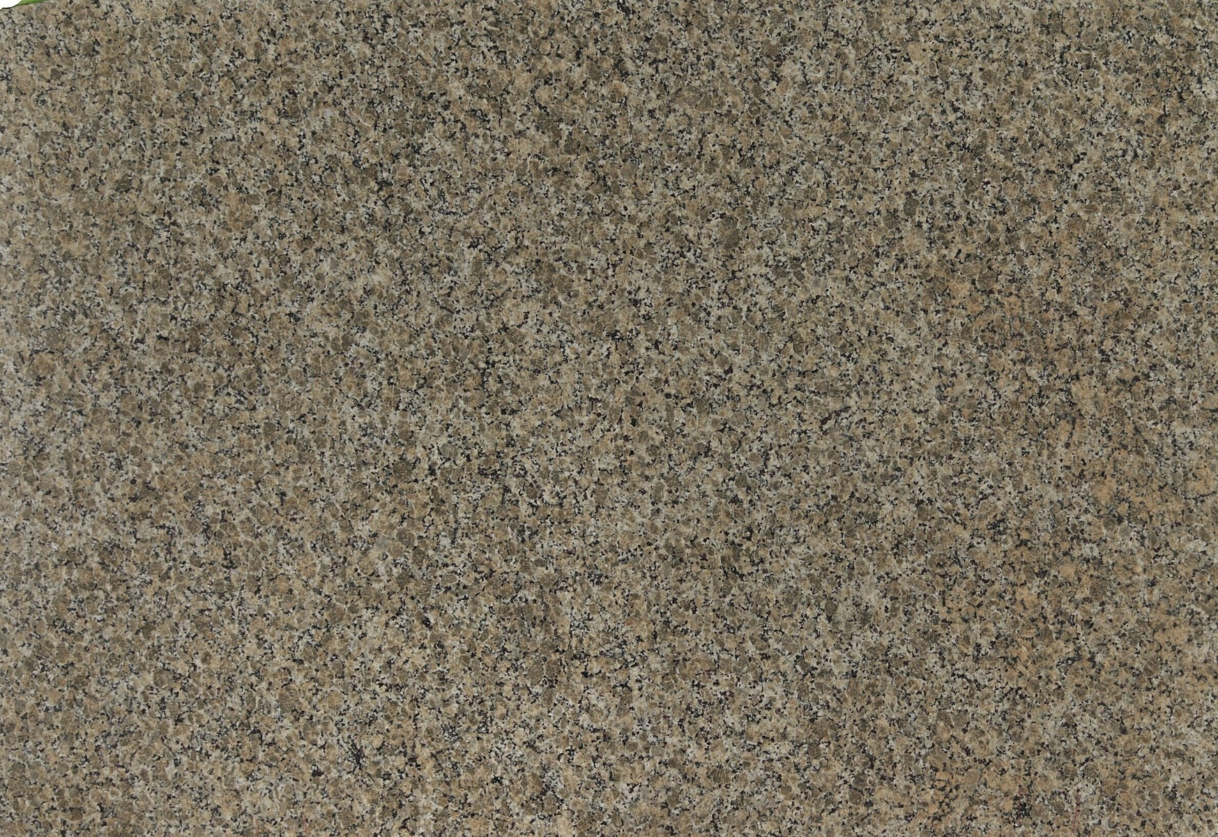 Image of Ferro Gold Brown Granite countertop slab