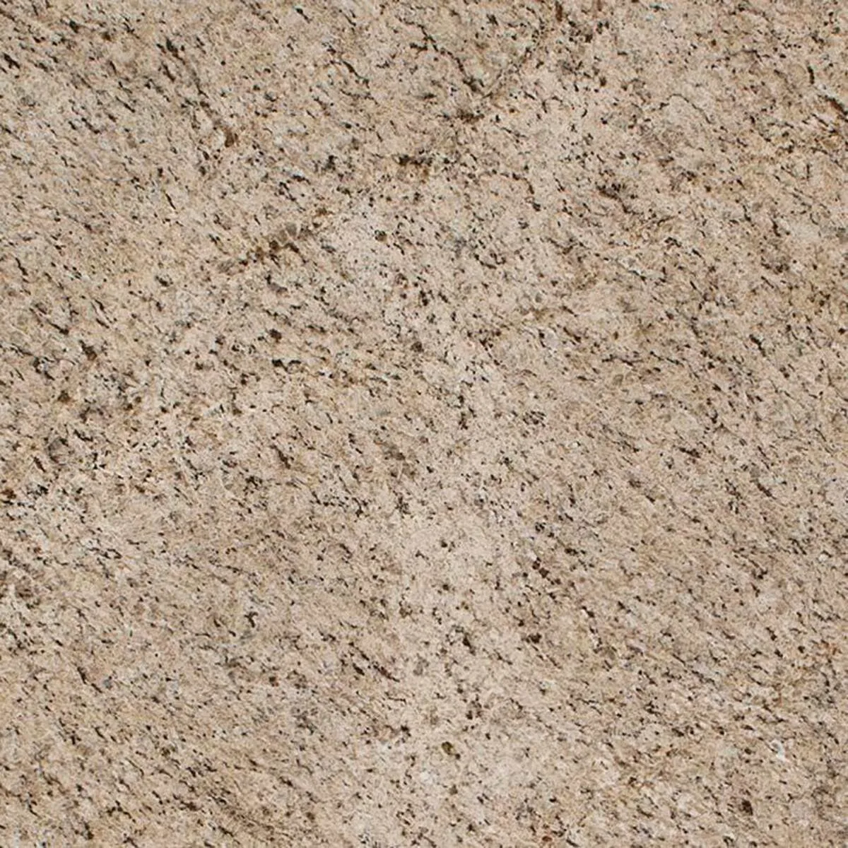 Closeup image of Giallo Ornamental Brown Granite countertop slab