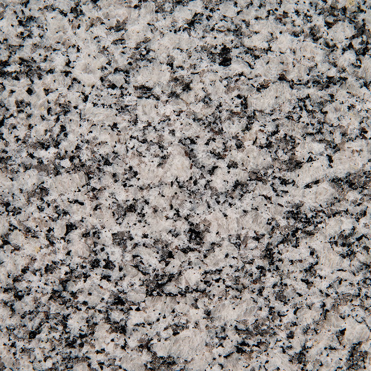 Closeup image of Gray Atlantico Granite countertop slab