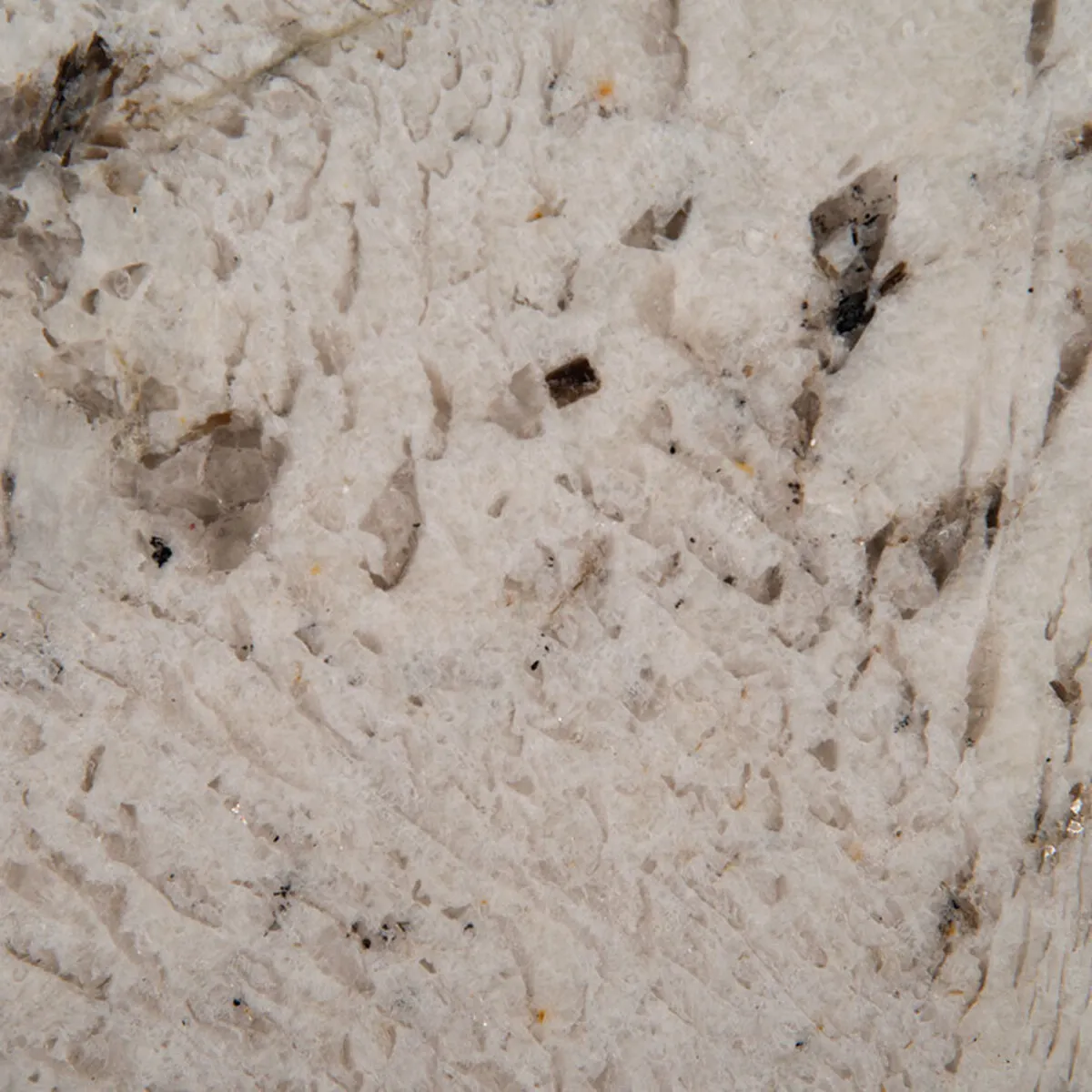 Closeup image of Gray Nuevo Grey Granite countertop slab