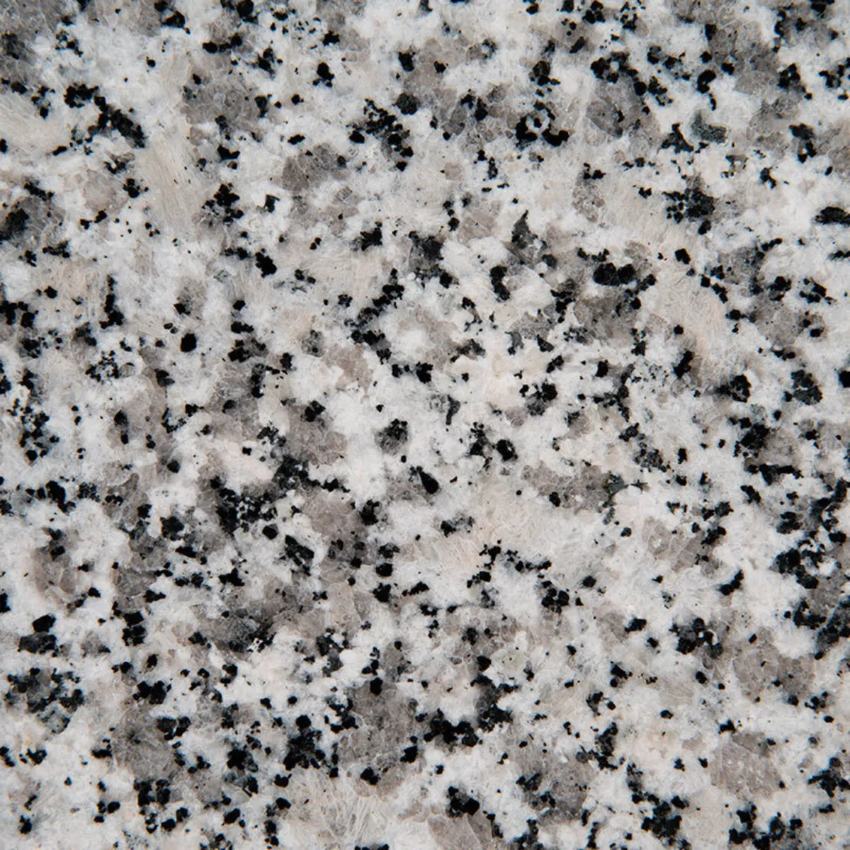 Closeup image of Luna Pearl Granite countertop slab