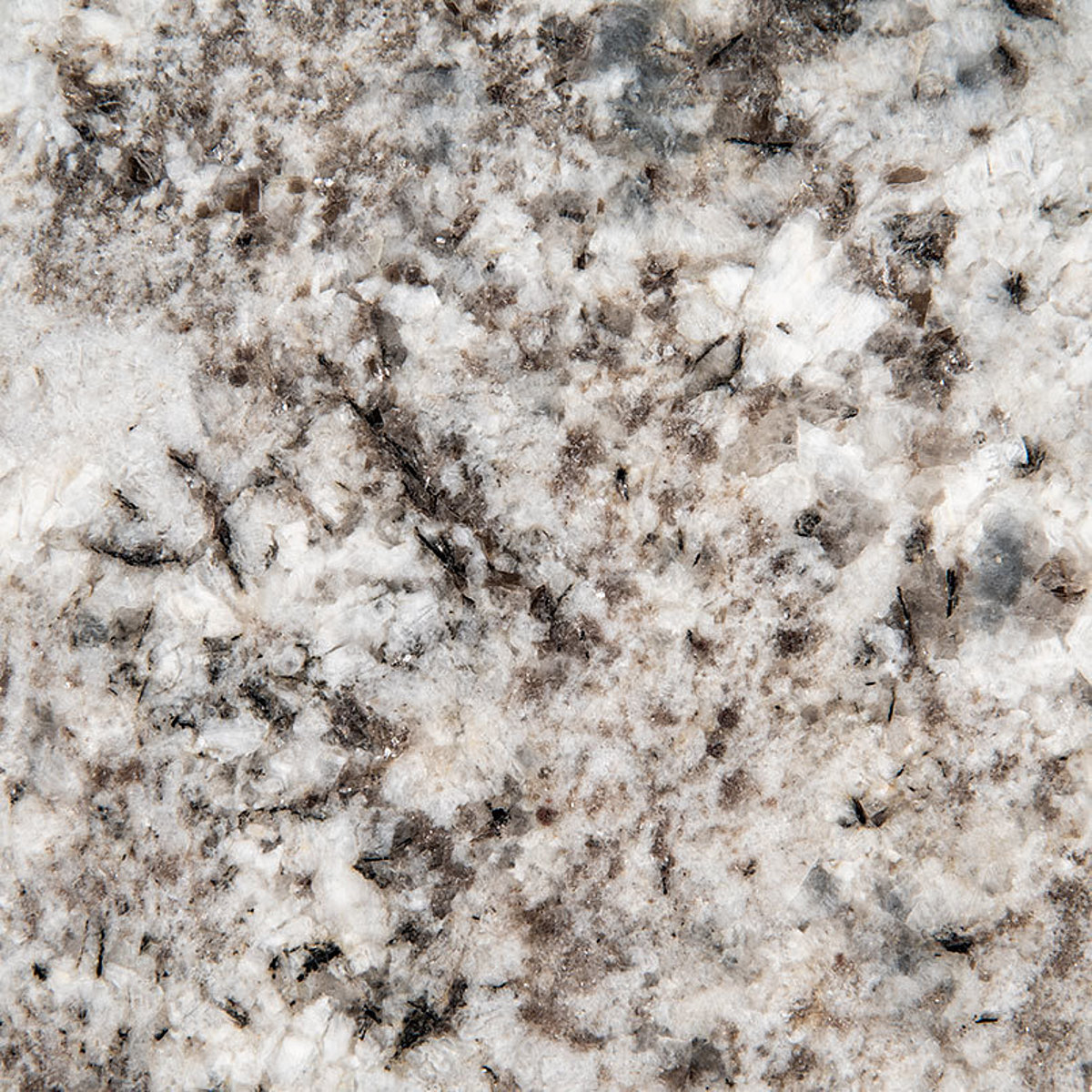 Closeup image of Mirage White Grey Granite countertop slab
