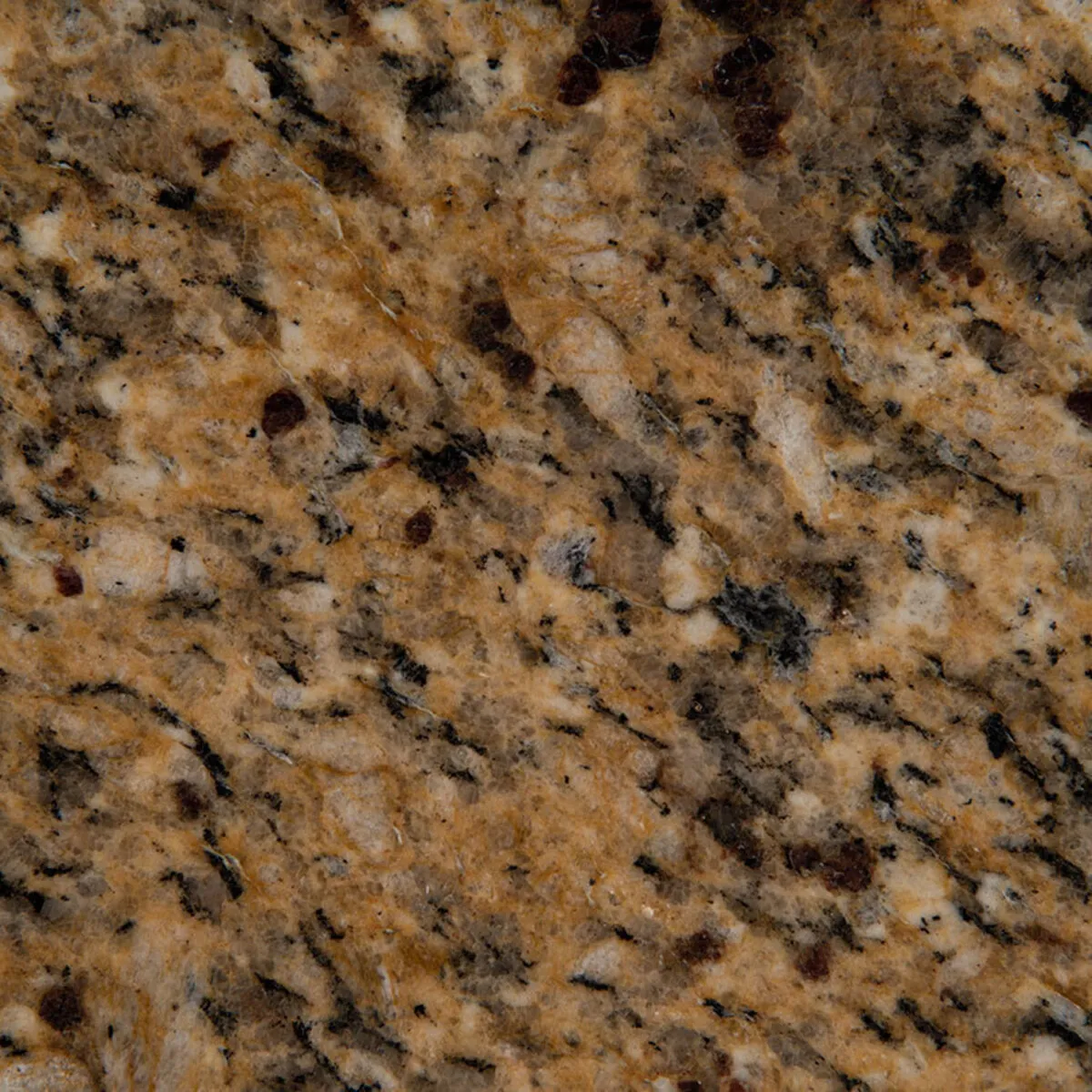 Closeup image of New Venetian Gold Brown Granite countertop slab