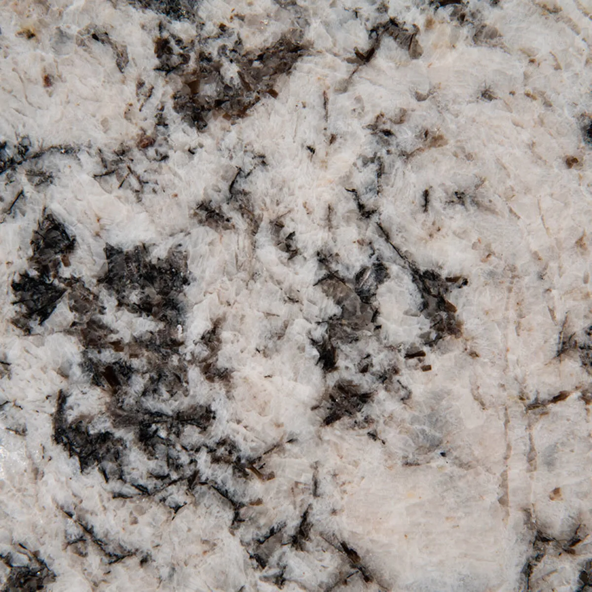 Closeup image of Oyster White Grey Granite countertop slab