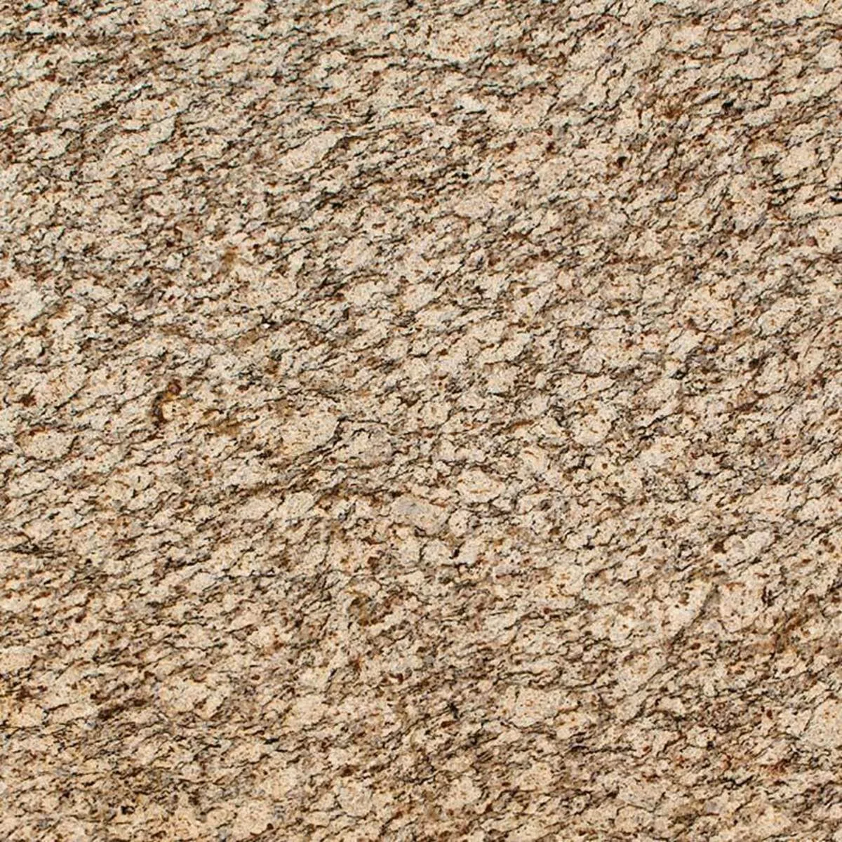 Closeup image of Santa Cecilia Brown Granite countertop slab