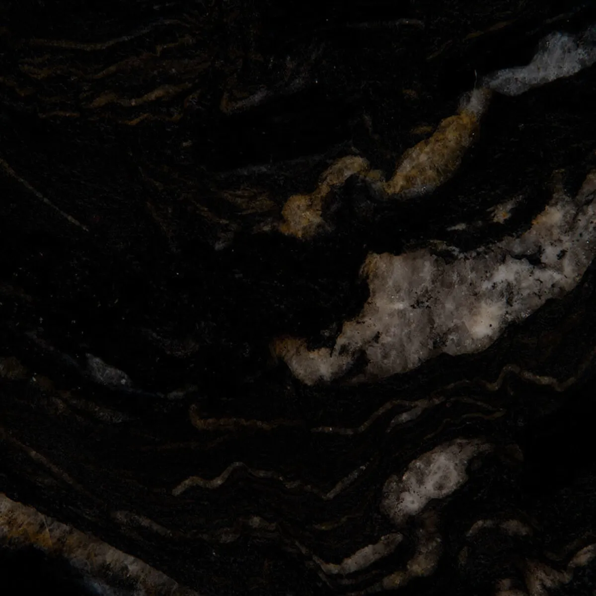 Closeup image of Titanium White Granite countertop slab