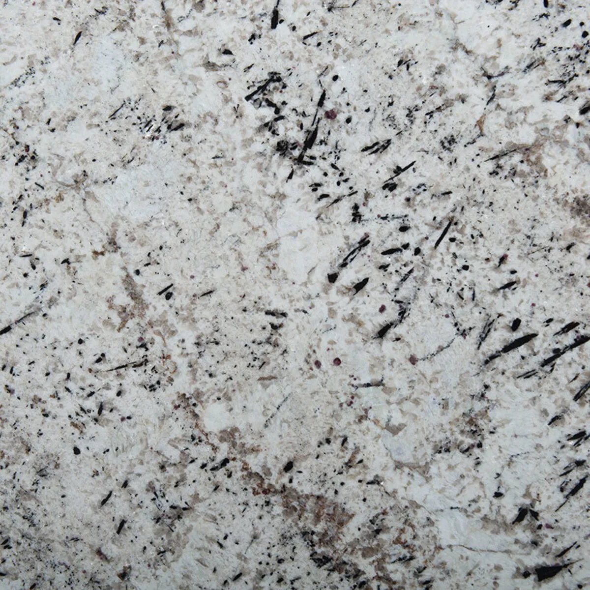 Closeup image of White Galaxy Granite countertop slab