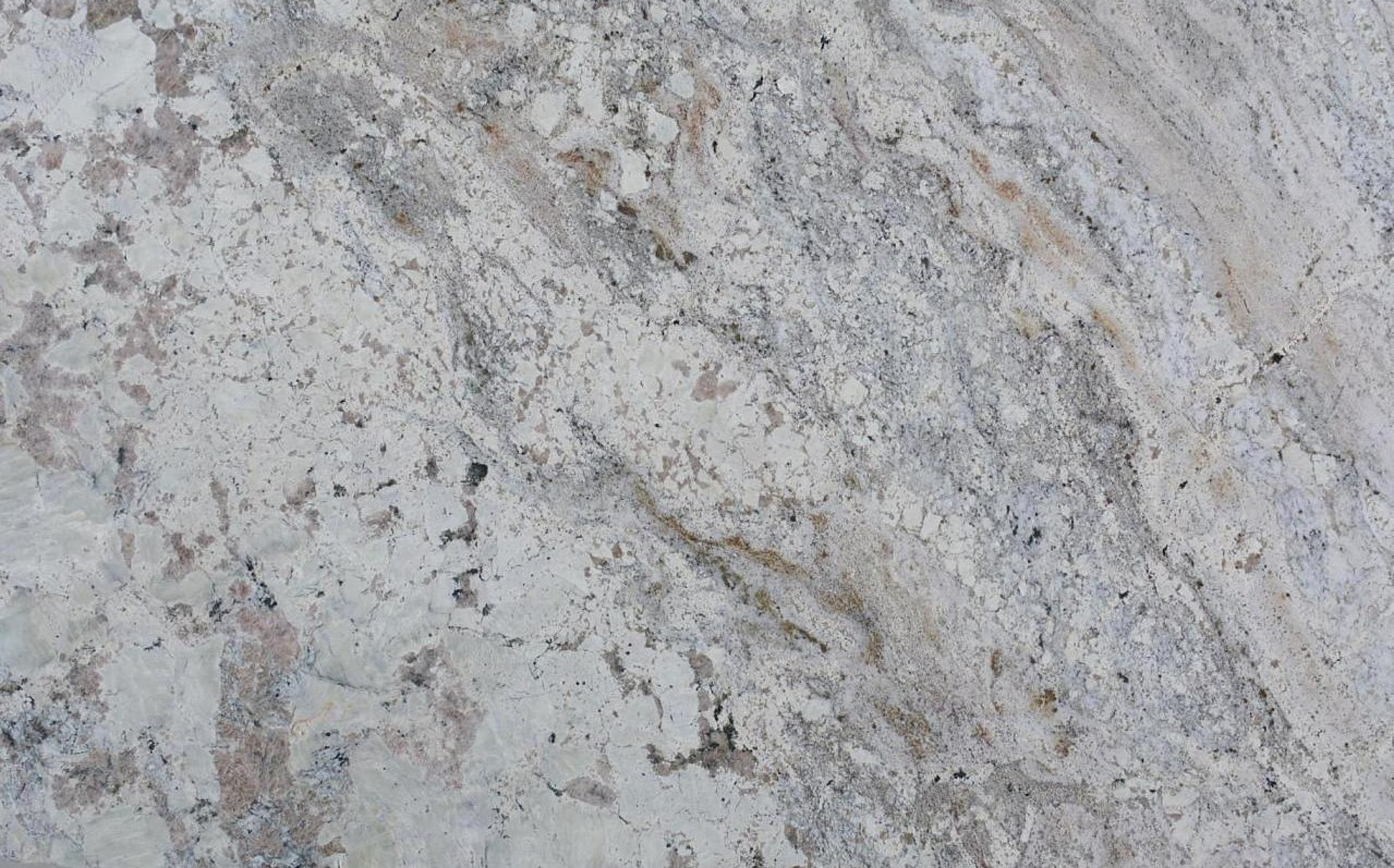 Image of White Paradise Grey Granite countertop slab