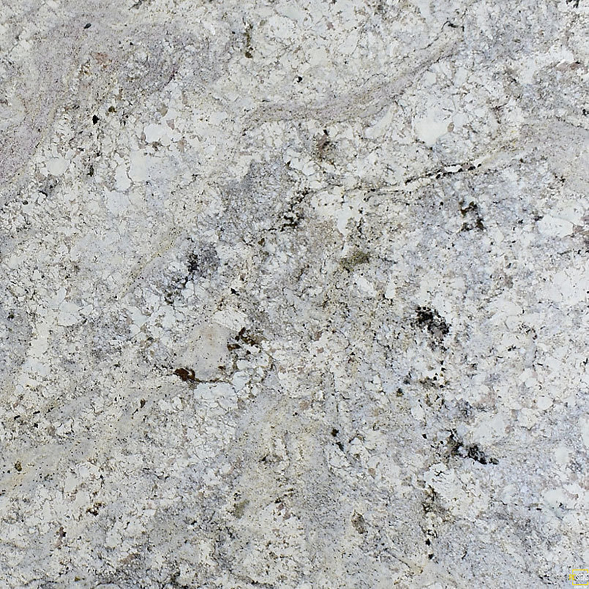 Closeup image of White Paradise Grey Granite countertop slab
