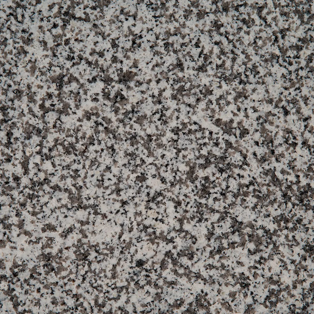 Closeup image of White Sparkle Grey Granite countertop slab