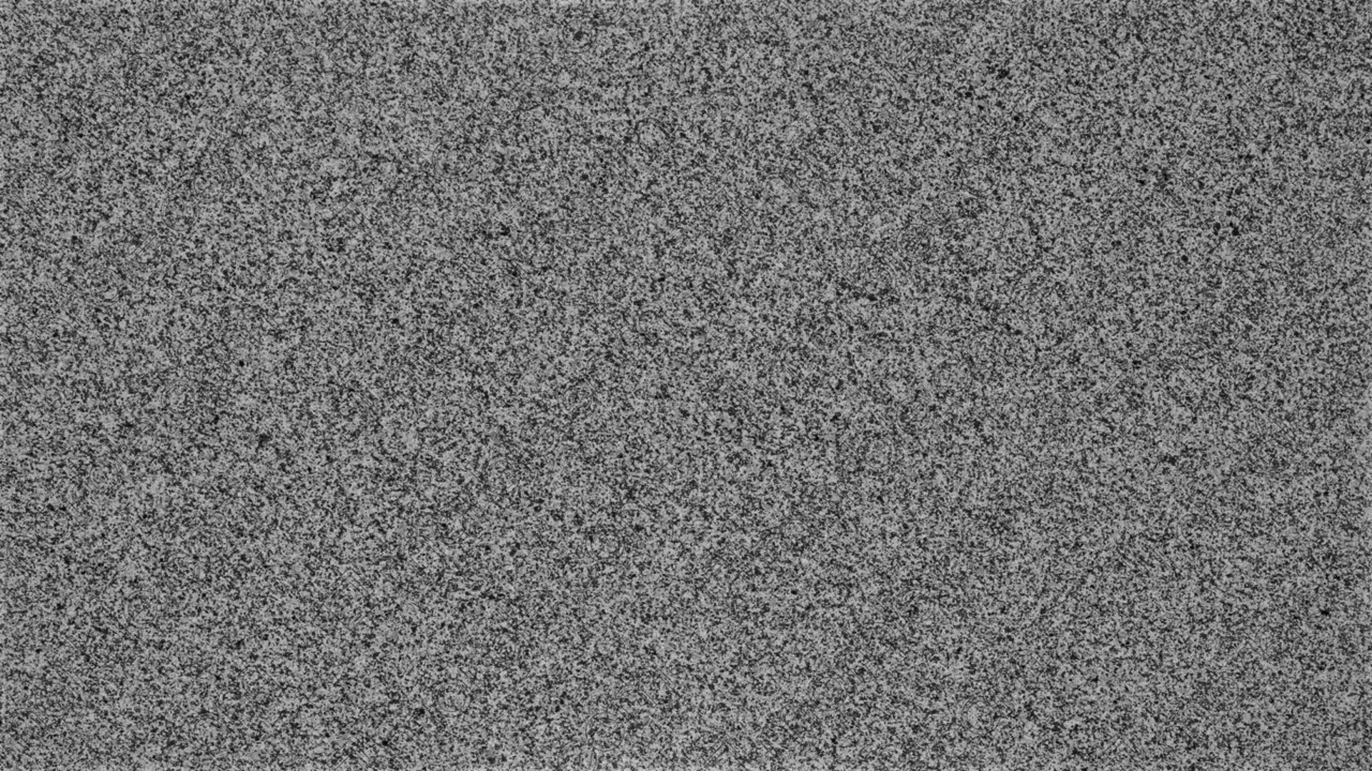 Image of White Sparkle Grey Granite countertop slab