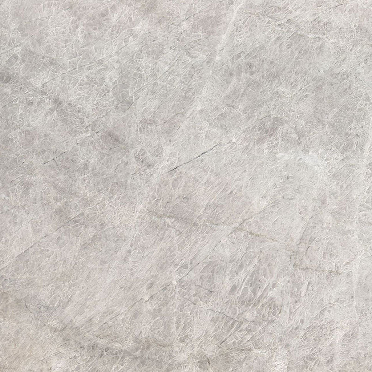 Closeup image of Allure Grey Quartzite countertop slab